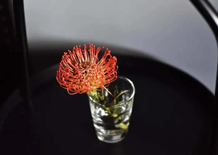 Tatil Evi Domillion New Modern Old Town 14 Ppl U2c2 Vilnius