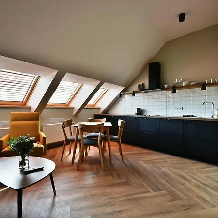 Domillion New Modern Old Town 14 Ppl U2c2 * Вильнюс