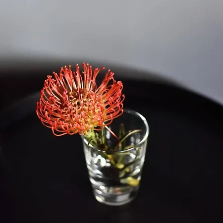 Дом отдыха Domillion New Modern Old Town 14 Ppl U2c2 Вильнюс